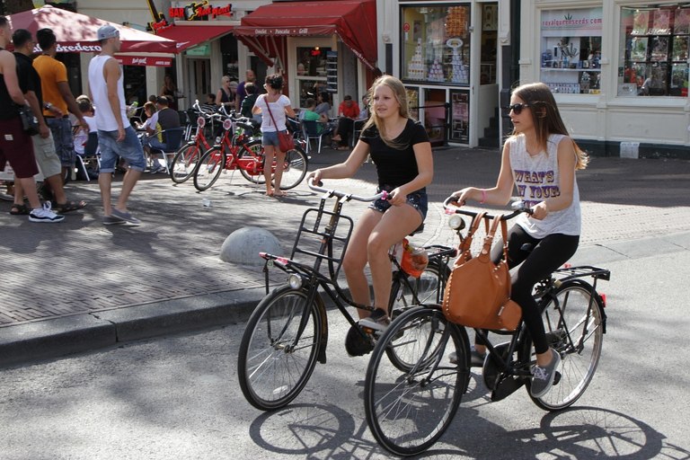 Amsterdam: Guidad sightseeing-cykeltur3-timmars privat cykeltur