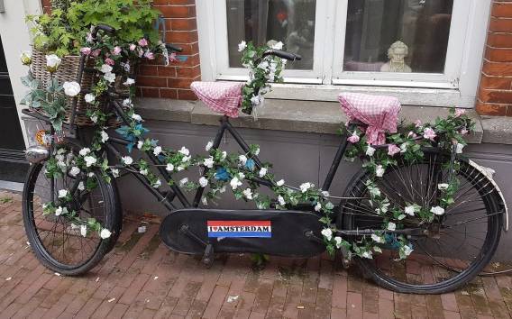 Amsterdam: Private Radtour auf Deutsch