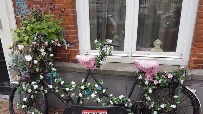 amsterdam private bike tour in german