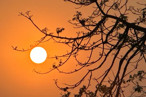 Chitwan Jungle Safari- All Inclusive 3 Days Chitwan Tour