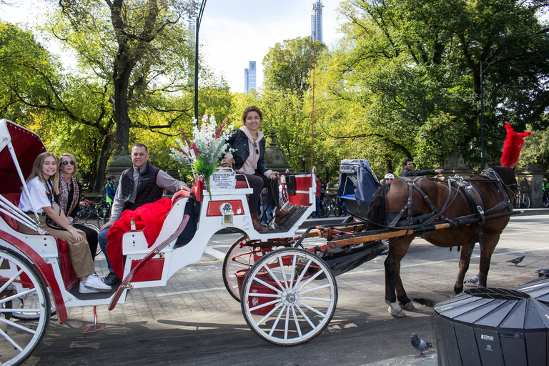 New York City: met de paardenkoets door Central Park