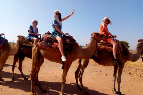 Monti dell'Atlante e 3 Valli: tour di 1 giorno da Marrakech