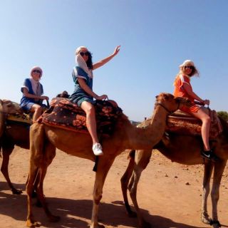 From Marrakech: Atlas Mountains and Three Valleys Day Trip