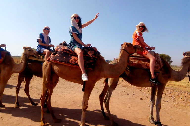 From Marrakech: Atlas Mountains and Three Valleys Day Trip