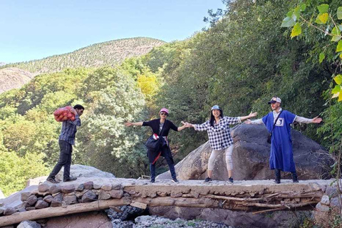 Desde Marrakech: excursión de un día a las montañas del Atlas y los tres valles