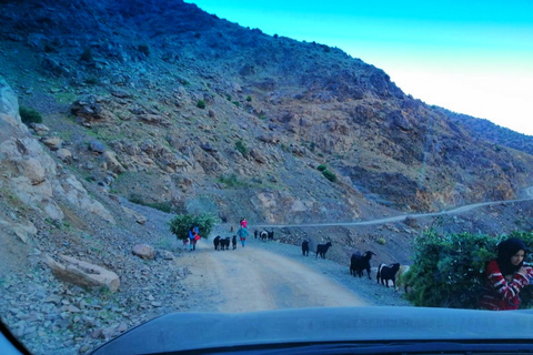 Desde Marrakech: excursión de un día a las montañas del Atlas y los tres valles