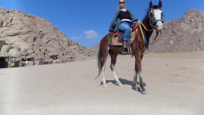 sharm elsheikh horse riding adventure with hotel pickup