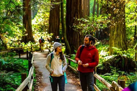 San Francisco: Muir Woods with Napa and Sonoma Wine Tour