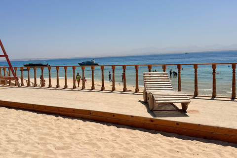 Hurghada: Private Speedboat to Magawish Island 8-hour Private Speedboat With Lunch