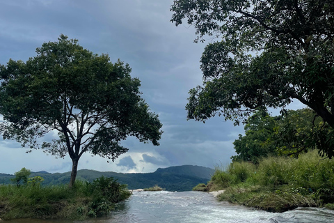 Da Galle/Mirissa/Weligama: Caccia privata alle cascate a Ella