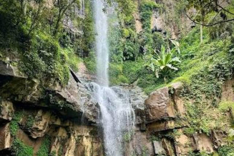 From Addis Ababa: 2-Day Wendo Genet & Hawassa Tour