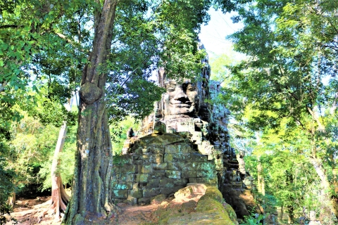 Angkor Wat: lugares destacados y visita guiada al amanecerAngkor Wat: tour privado de 1 día al amanecer