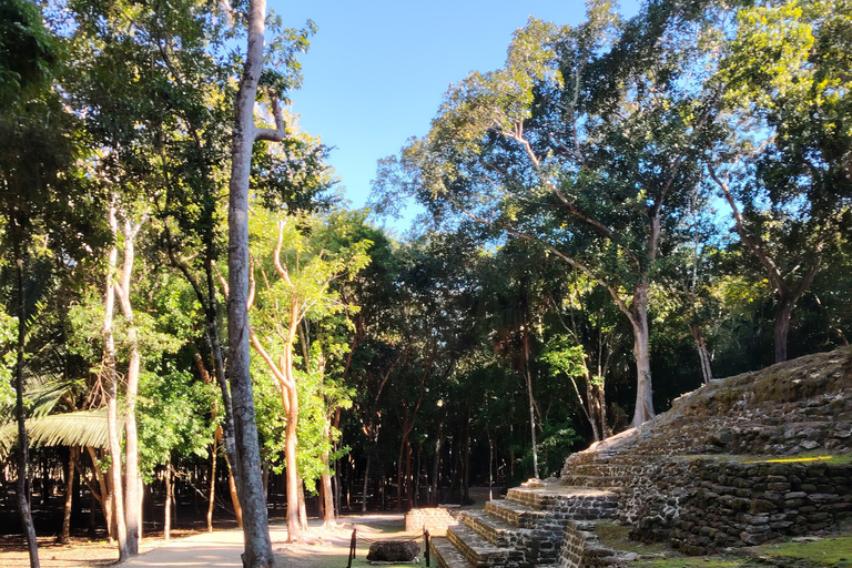 Bacalar: Ichkabal mayan temples & boat tour. Ichkabal only mayan temples guided tour.