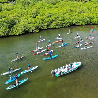 From Panama City: Caribbean Stand-Up Paddleboarding Day Tour