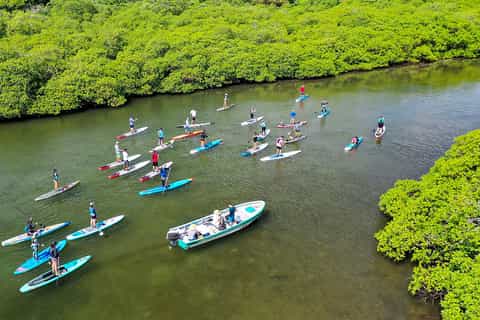 From Panama City: Caribbean Stand-Up Paddleboarding Day Tour