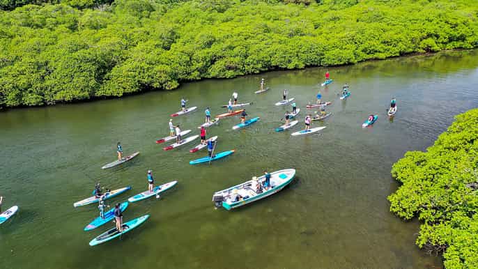 from panama city caribbean standup paddleboarding day tour