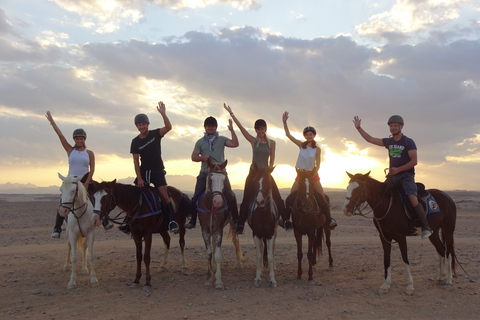 Hurghada: Tour a cavallo nel mare e nel deserto, osservazione delle stelle, cena e spettacoloGruppo privato: giro a cavallo di 1 ora