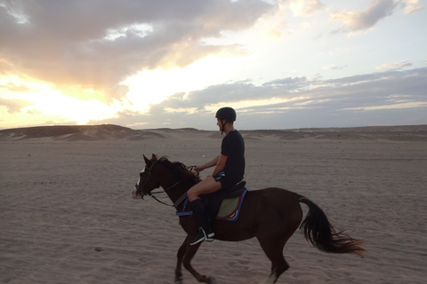 Hurghada: Tour a cavallo nel mare e nel deserto, osservazione delle stelle, cena e spettacoloGruppo privato: giro a cavallo di 1 ora