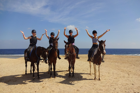 Hurghada : Excursion à cheval dans la mer et le désert, observation des étoiles, dîner et spectacleGroupe privé : Promenade à cheval d'une heure