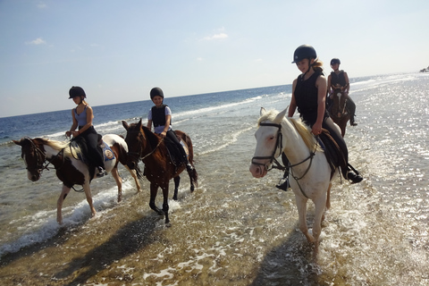 Hurghada: Tour a cavallo nel mare e nel deserto, osservazione delle stelle, cena e spettacoloGruppo privato: giro a cavallo di 1 ora