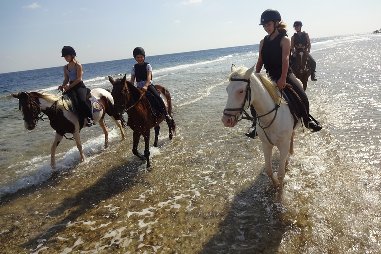 Hurghada: Excursión a caballo por el mar y el desierto, observación de estrellas, cena y espectáculoHurghada: Paseo a caballo de 2 horas sin parada para nadar