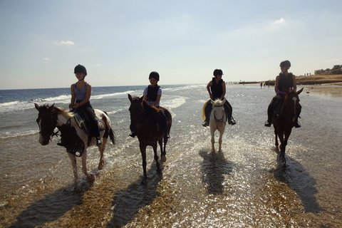 Hurghada: Excursión a caballo por el mar y el desierto, observación de estrellas, cena y espectáculoHurghada: Paseo a caballo de 2 horas sin parada para nadar