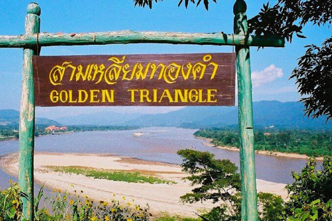 Journée complète à Chiang Rai : 3 temples, Triangle d&#039;Or et tour en bateau