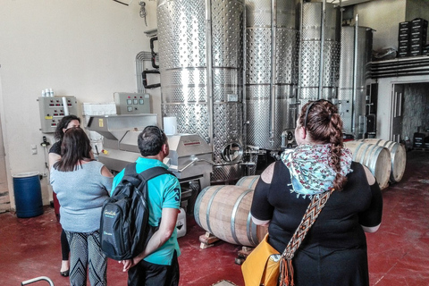 Heraklion: Cretan Wine Tasting Tour &amp; Gourmet Lunch