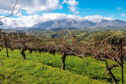 Heraklion: Cretan Wine Tasting Tour &amp; Gourmet Lunch