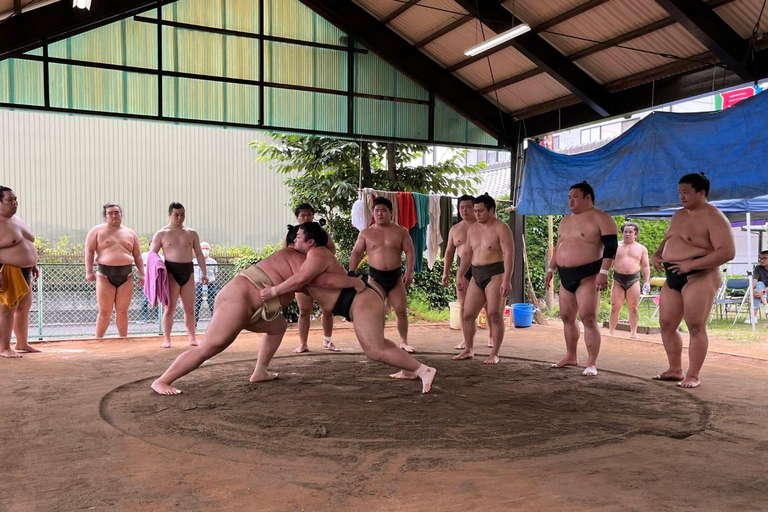 Nagoya: Besuch des morgendlichen Sumo-Trainings mit englischem Guide