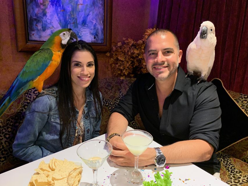 Miami: Sip & Salsa Night at Mango's Tropical Cafe | GetYourGuide
