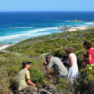 From Busselton: Half-Day Coastal and Wildlife Eco Tour