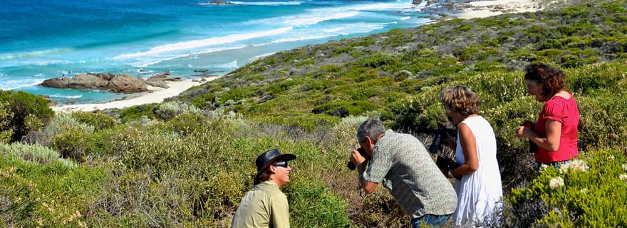 Au départ de Busselton : visite d'une demi-journée de la côte et de la vie sauvage