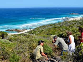 Da Busselton: Tour di mezza giornata sulla costa e sulla fauna selvatica