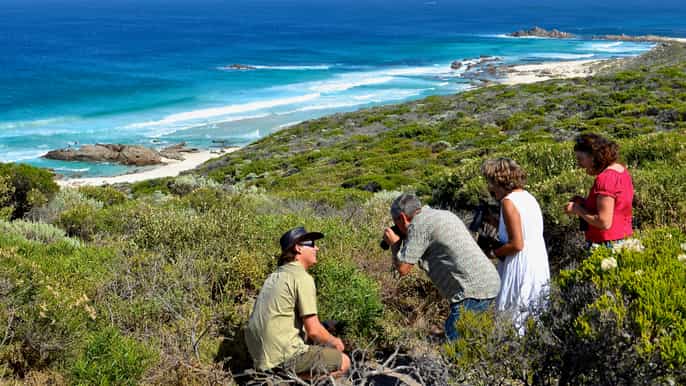 from busselton halfday coastal and wildlife eco tour