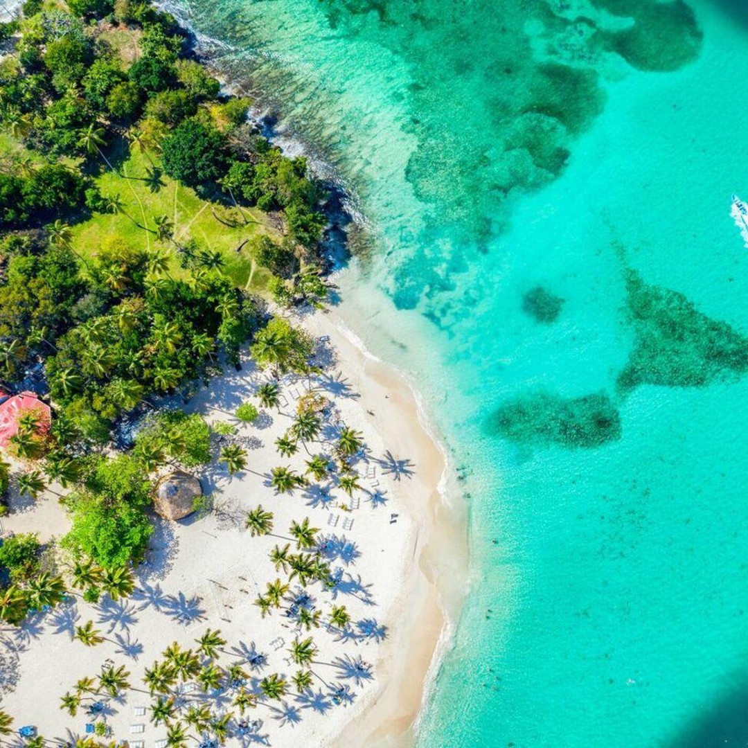 samana-check-out-los-haitises-national-park-and-cayo-levantado-island