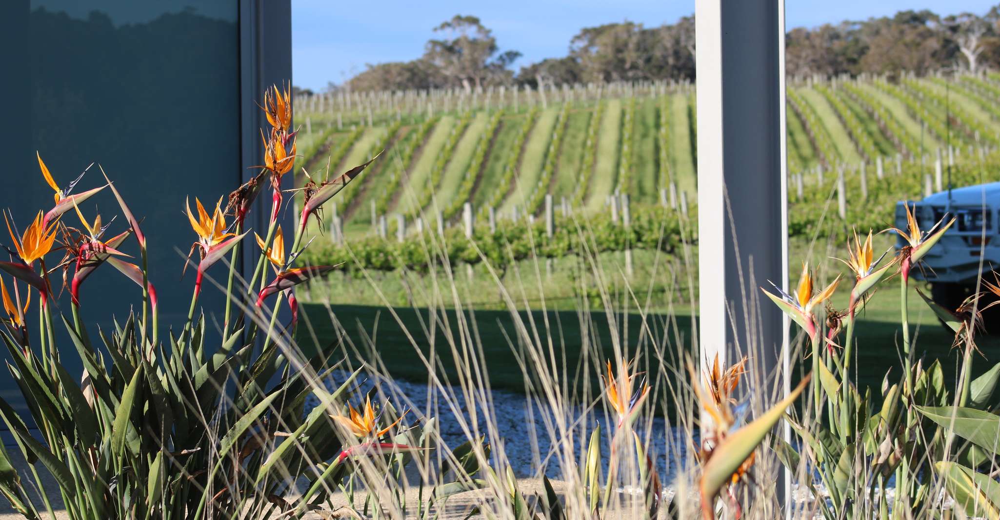 Half day Wine and Sights Discovery Tour Busselton - Housity