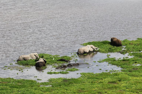 Nairobi: aventura de safari de 3 días en Amboseli y Tsavo WestNairobi: aventura de safari de 3 días en Amboseli y Tsavo