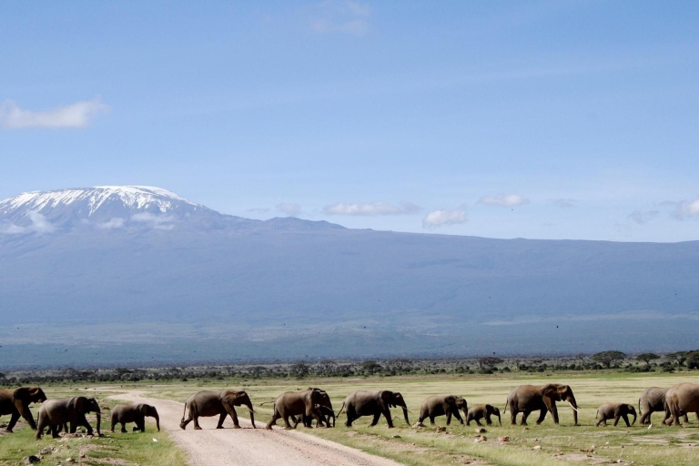 Nairobi: Safari guidé de 4 jours à Amboseli, Tsavo Ouest et Est