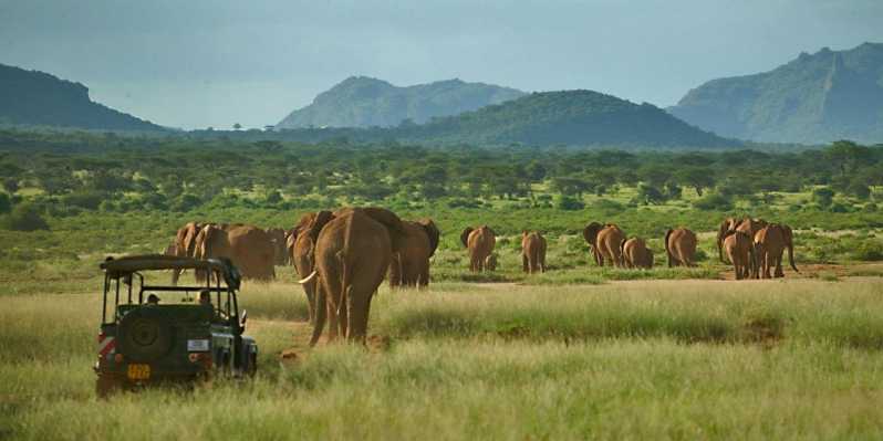 Nairobi: 3-Day All-Inclusive Samburu National Park Safari