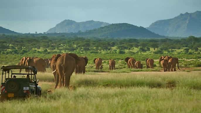 nairobi 3day allinclusive samburu national park safari
