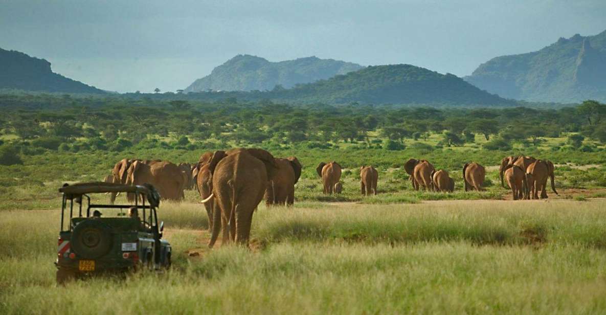 safari nairobi 3 days