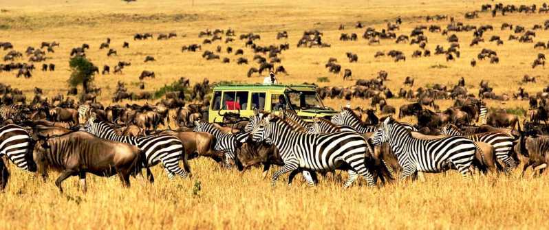 central african safaris
