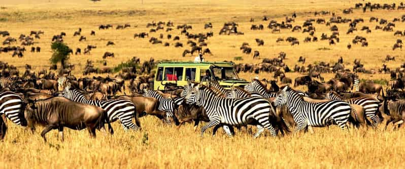 Nairobi : 3 jours de safari en camping dans le parc national d'Amboseli ...