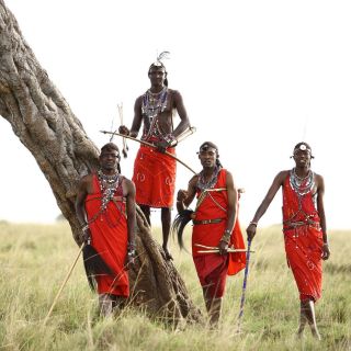 Nairobi: 6 päivän Amboseli-, Nakuru- ja Masai Mara Safari -kierros