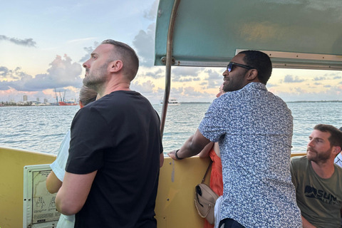 Miami River Sightseeing Cruise: Miami Skyline & Architecture