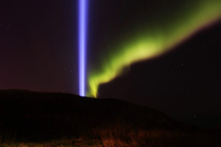 Reykjavík: Tour zur FriedenssäuleTour zur Friedenssäule ohne Abholung und Rücktransfer