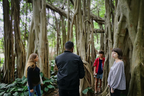 Durban: Interaktiv sightseeingtur med lokalbefolkningen