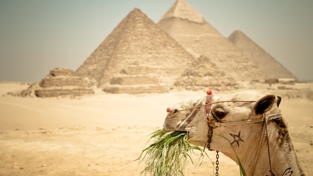 Cairo: Pyramid Tour, Boat Ride and Lunch at Cafelucca