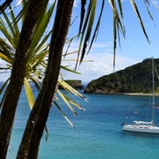 Bay of Islands: Awesome Day Sailing Tour with Island Stop